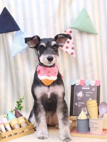 20250531音ちゃん